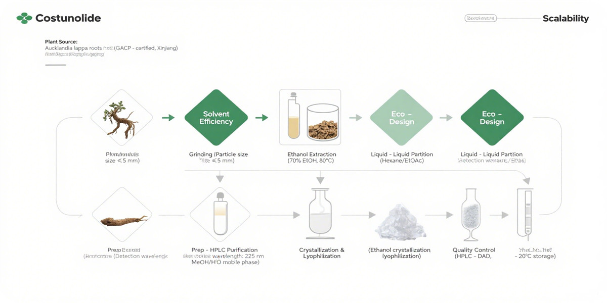 Purity Costunolide (CAS 553-21-9) | 98% HPLC Grade